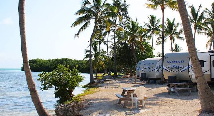 Tropical oceanfront RV campsites under tall palm trees at Sunshine Key RV Resort and Marina in Big Pine Key, Florida